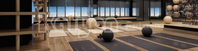 Kuzu Effect Sports İnternational Referans Görselleri