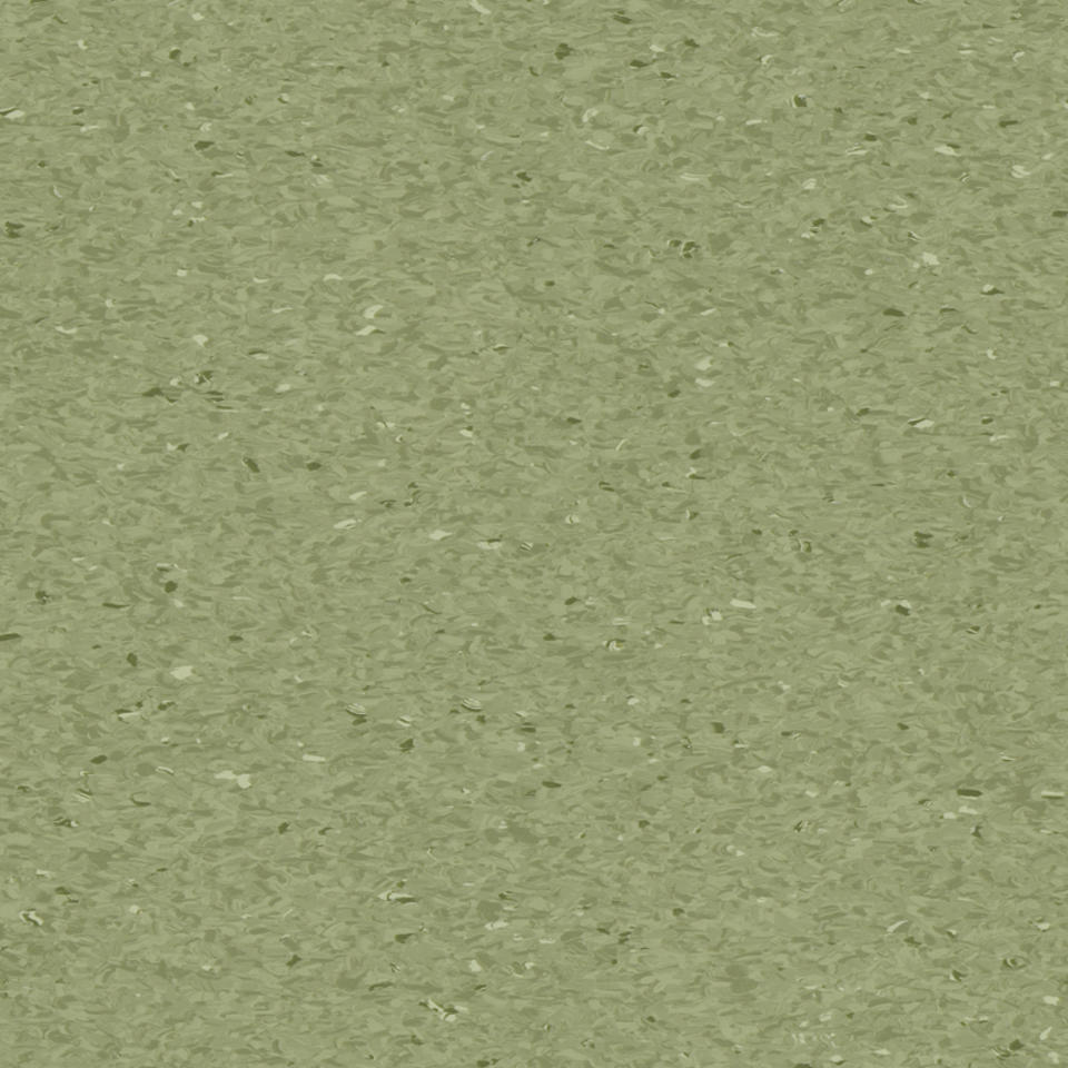 Granit FERN 0405
