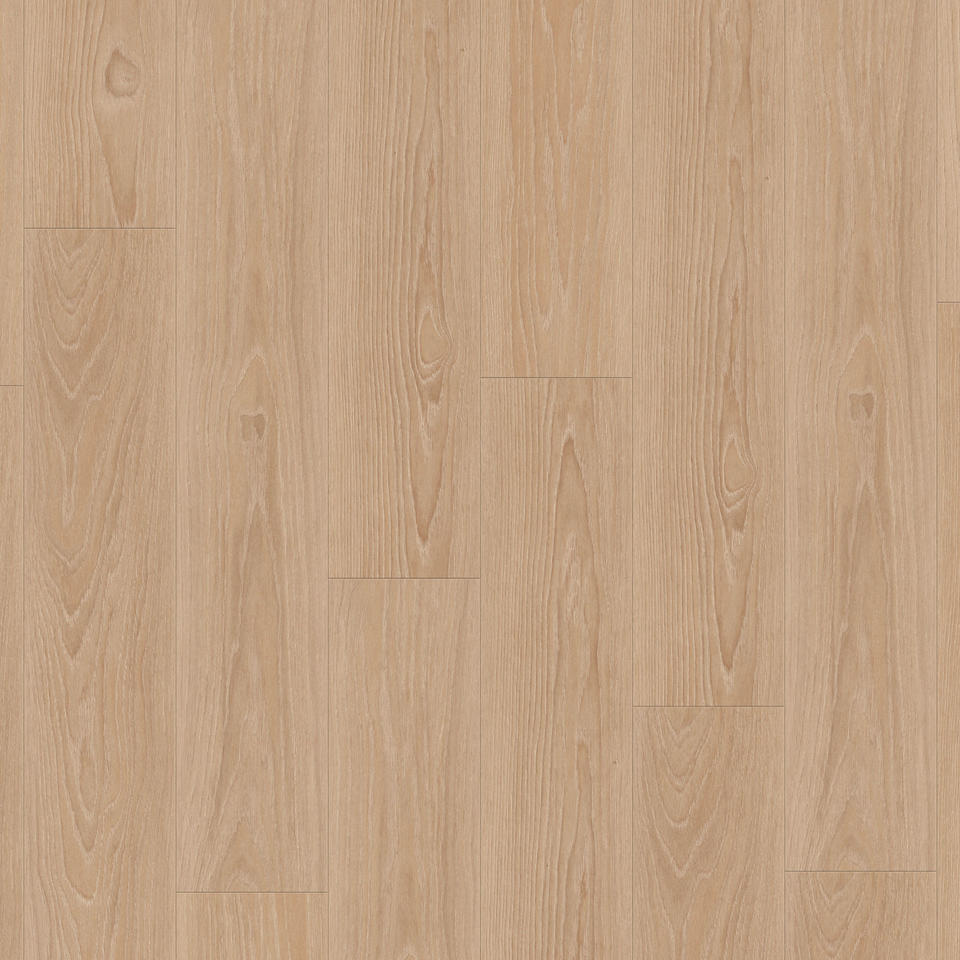 Pearl Oak CANDIS