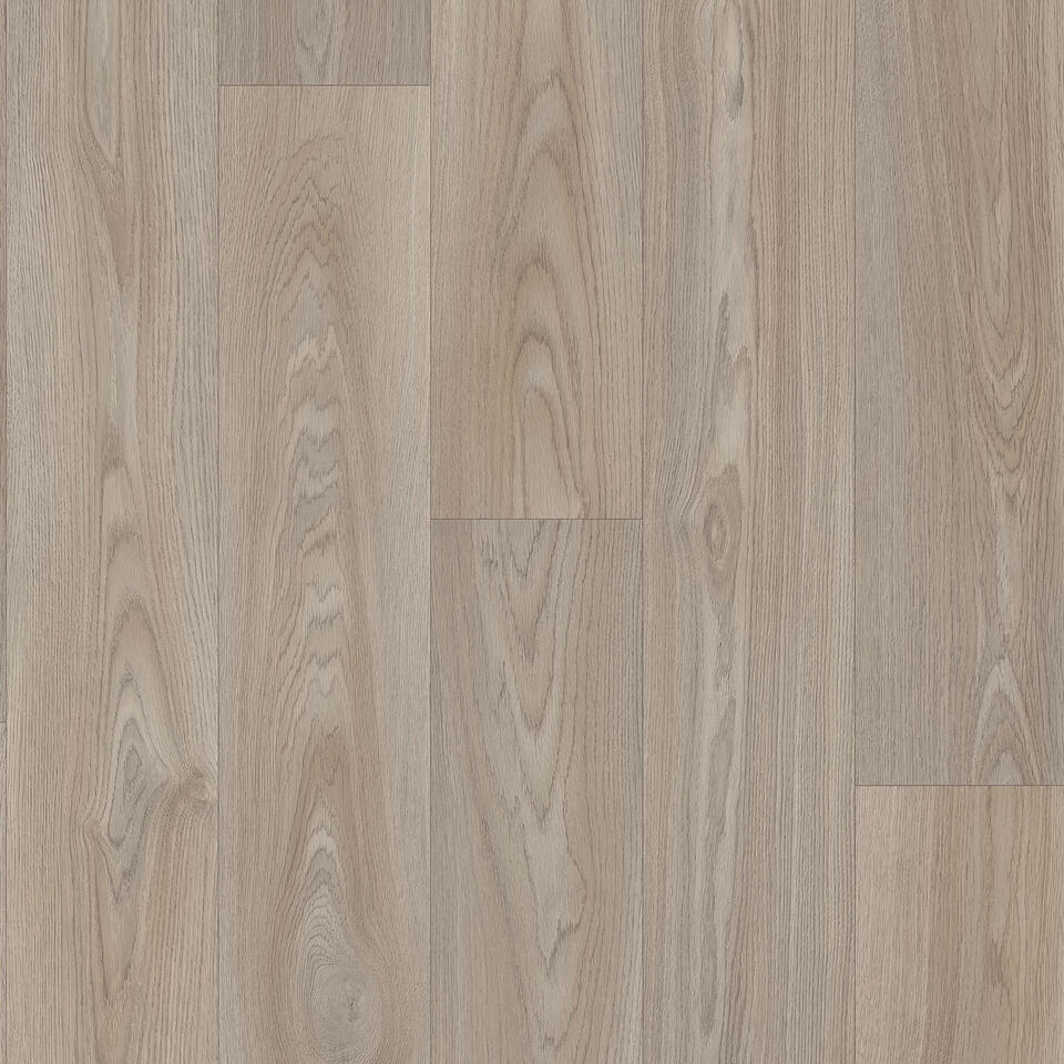 Citizen Oak MEDIUM GREY
