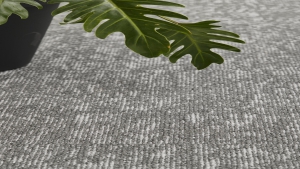 GRAİN Koleksiyon Görselleri