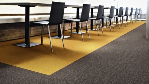 HALO Koleksiyon Görselleri