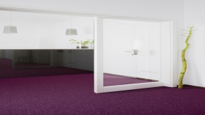 PALLAS Koleksiyon Görselleri