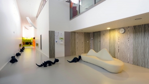 ETRUSCO XF²™ (2.5 MM) Koleksiyon Görselleri