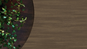 ORİGİNALE ESSENZA 2.5 MM Koleksiyon Görselleri