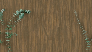 ORİGİNALE ESSENZA 2.5 MM Koleksiyon Görselleri