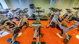 OMNISPORTS SPEED (3.45 MM) Koleksiyon Görselleri