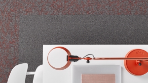 SALT Koleksiyon Görselleri