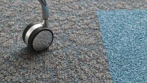 SALT Koleksiyon Görselleri