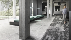 STREET VİEW Koleksiyon Görselleri