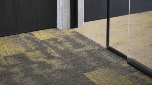 STREET VİEW Koleksiyon Görselleri