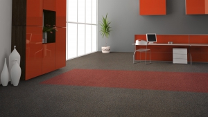 TORSO Koleksiyon Görselleri