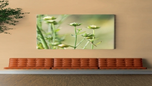 LİNOWALL 2.00 MM Koleksiyon Görselleri