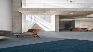 Marvel Koleksiyon Görselleri