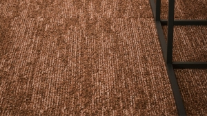 Scenic Koleksiyon Görselleri