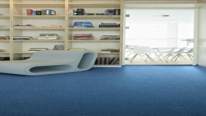 Asteranne Koleksiyon Görselleri