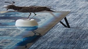 Denim Koleksiyon Görselleri