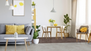 Classic 40 Koleksiyon Görselleri