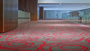 AXMİNSTER Koleksiyon Görselleri