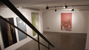 Mikro Beton & Doğal Beton Koleksiyon Görselleri