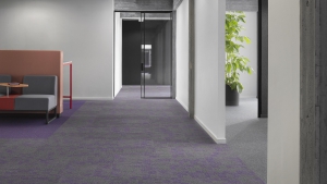 ESSENCE MAZE Koleksiyon Görselleri