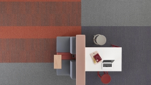 ESSENCE STRİPE Koleksiyon Görselleri