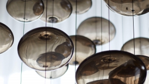 FERN Koleksiyon Görselleri