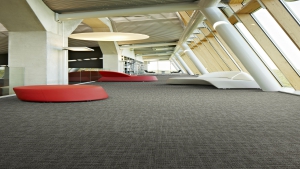 FRİSK Koleksiyon Görselleri