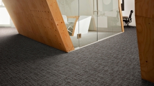 FRİSK Koleksiyon Görselleri